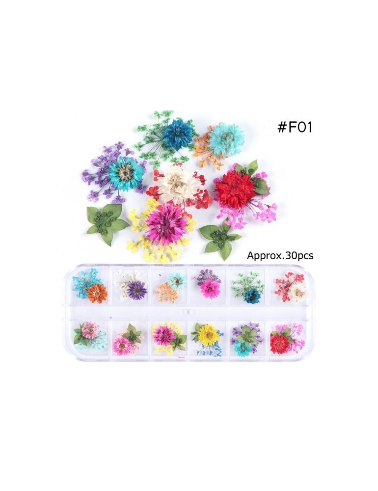 Dried Flowers * Color Variety * Model 2